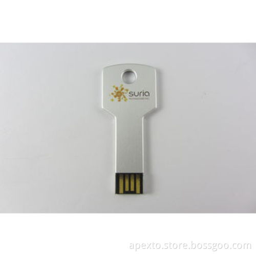 Aluminum Key US Flash Drive with 1GB MB and 2gbGB Memory Capacity, Customized Logo Welcomed
